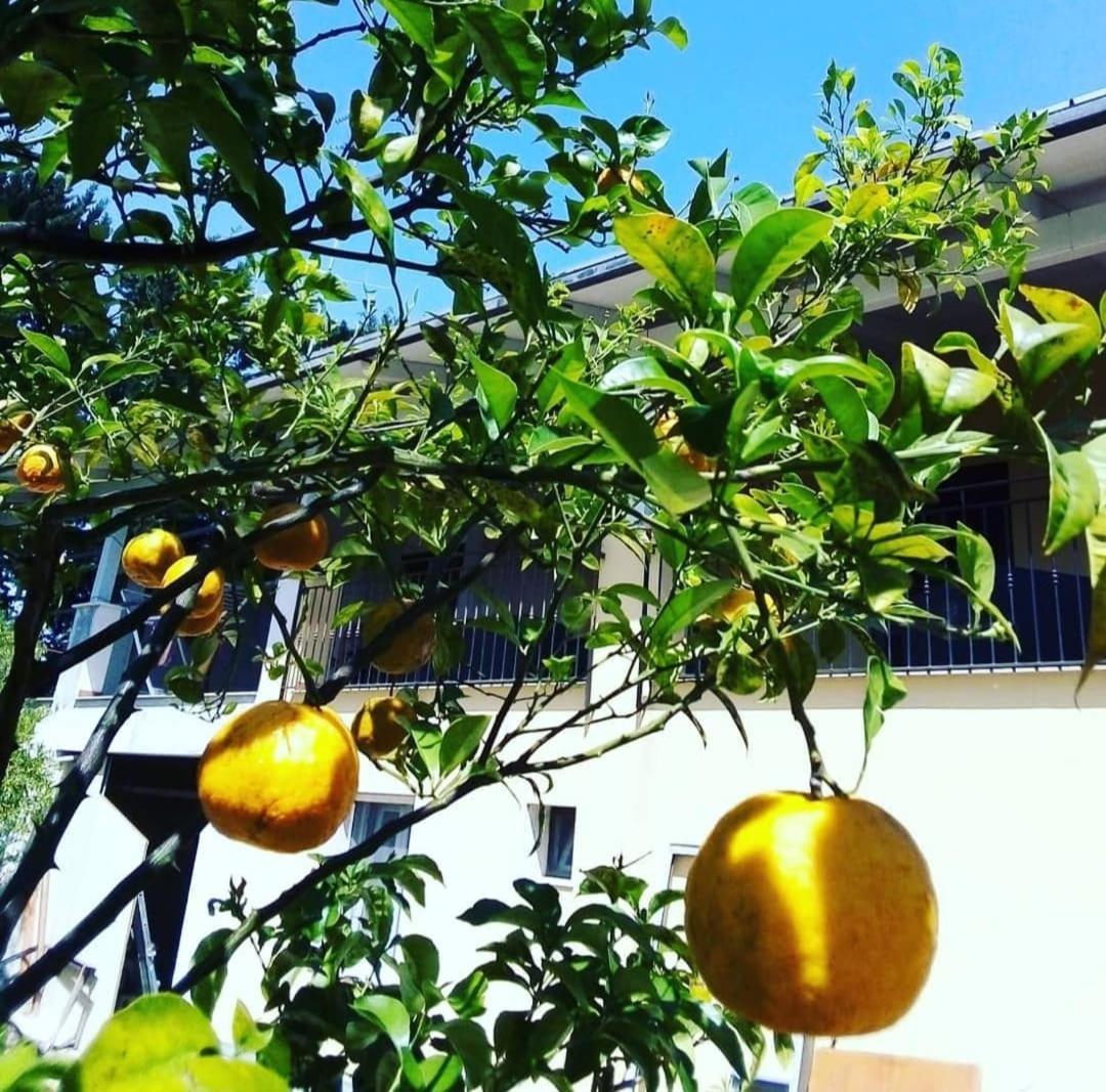 B&B Verdeoliva Modugno Dış mekan fotoğraf